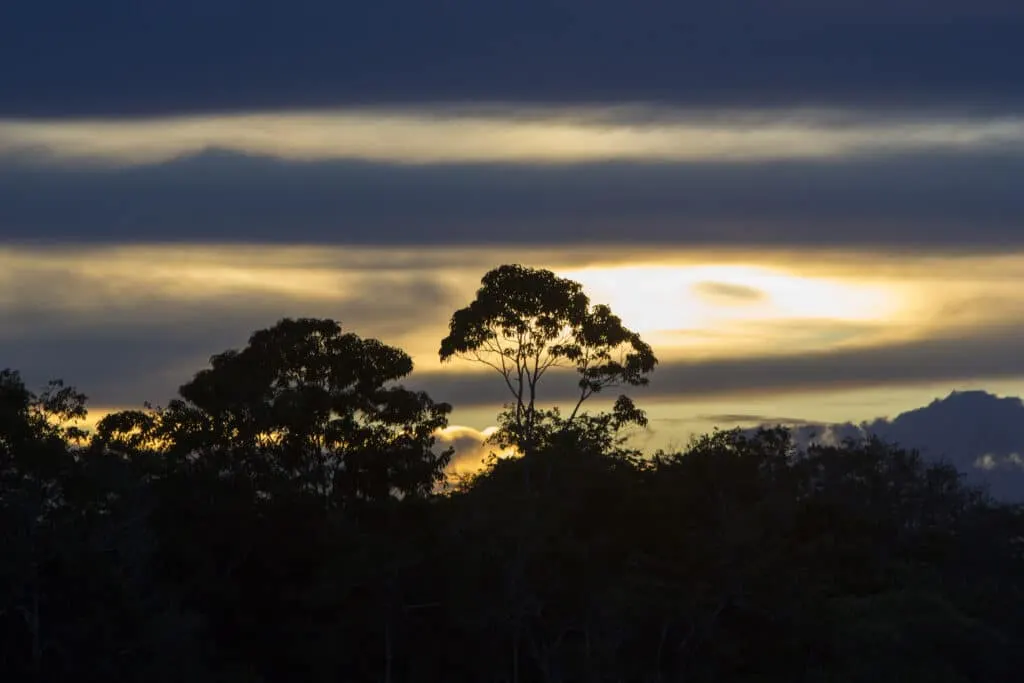 amazons choice