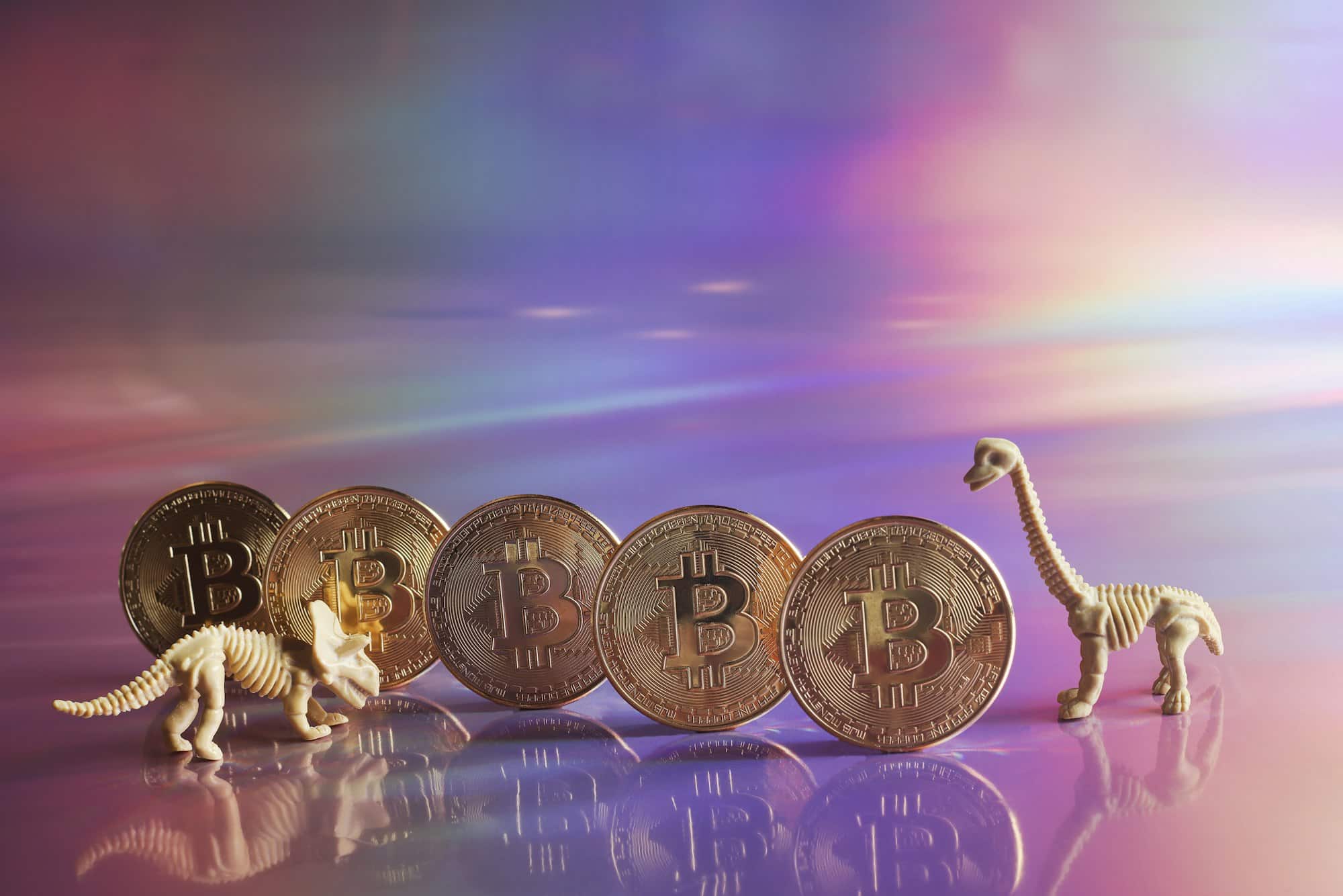 ¡Descubra por qué Coinbase Exchange es la plataforma comercial más popular!